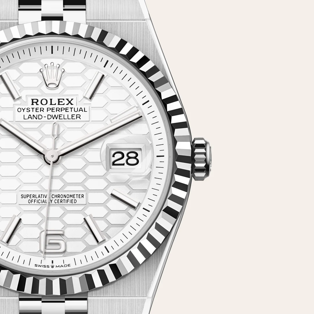 Rolex Land-Dweller 40 in White Rolesor - combination of