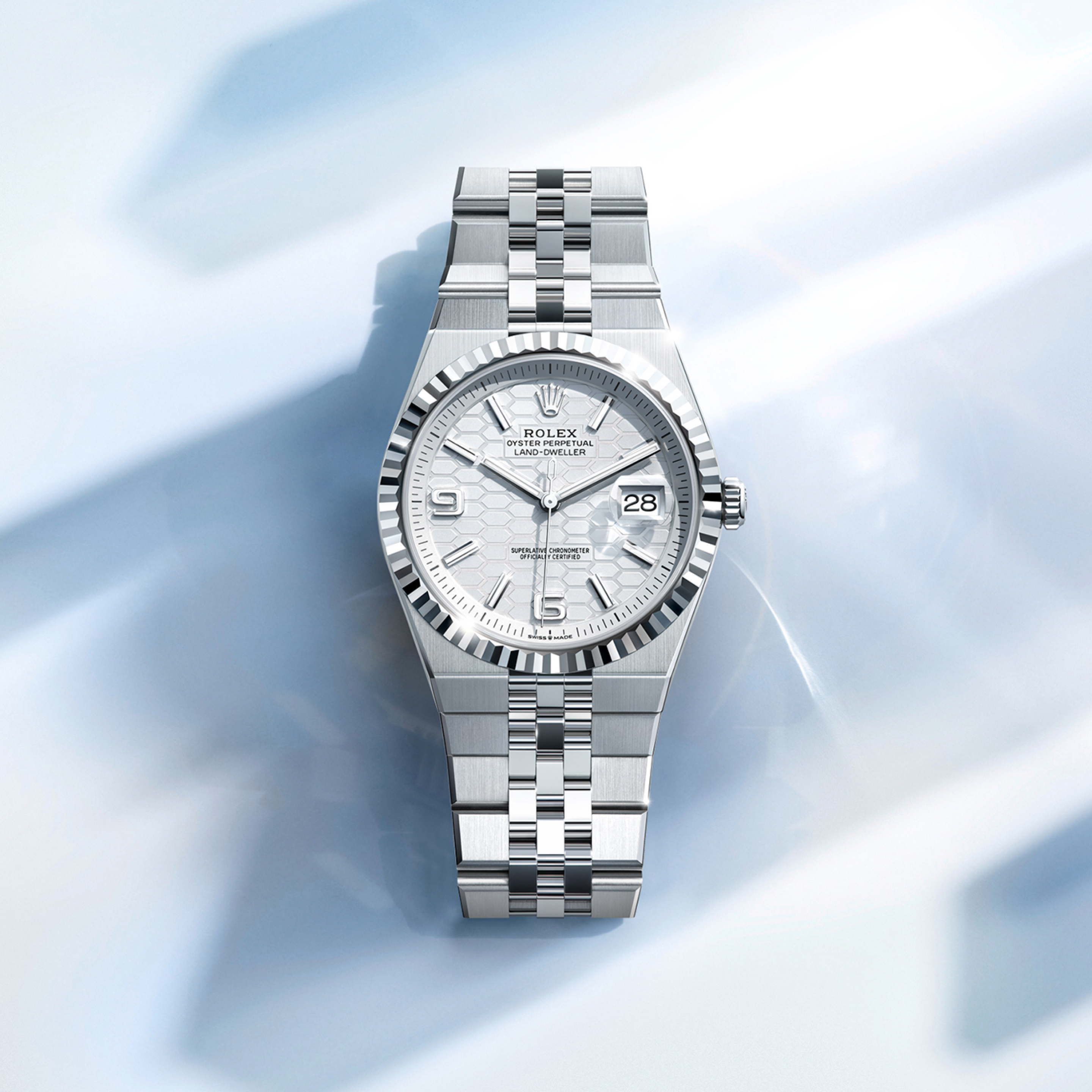 Rolex Land-Dweller 40 in White Rolesor - combination of