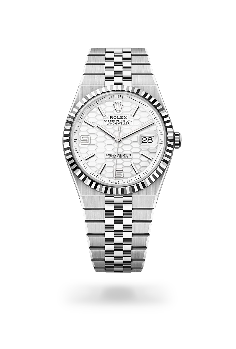 Rolex Land-Dweller 40 in White Rolesor - combination of